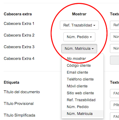 Detalle de configuración de campos personalizados en plantilla